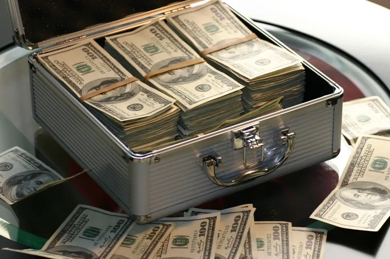 U SAD-u živi više od 22 milijuna milijunaša i oko 735 milijardera, dok diljem svijeta ima oko 58 milijuna milijunaša i 2781 milijardera. Mnogi od tih ljudi stekli su bogatstvo kroz profesije s područja financija i ulaganja, inženjeringa, izvršnih, pravnih i tehnoloških karijera. Manji broj ljudi do uspjeha je došao nekonvencionalnim metodama, izumima i s malo sreće. Ovo je deset jedinstvenih načina koji su ljudima donijeli goleme zarade. 