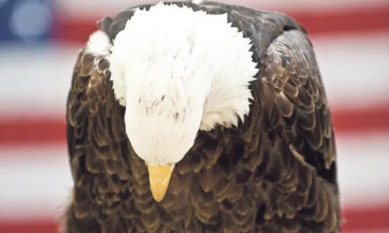 Od očaja do euforije, ovo je lice Amerike otkako je postalo jasno da će je ponovo voditi Trump