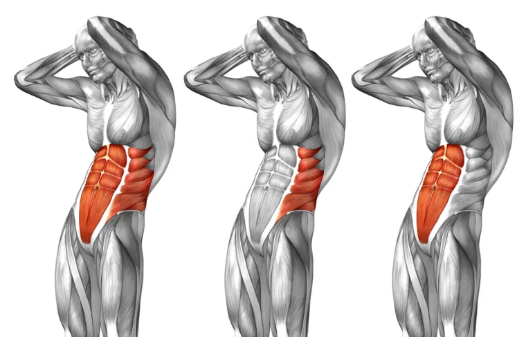 16. Piramidasti mi&scaron;ić - On je trokutastog oblika i smje&scaron;ten je ispred donjega kraja ravnog trbu&scaron;nog mi&scaron;ića i vjerojatno je jedan od najčudnijih dijelova tijela na ovom popisu. Stručnjaci nisu sigurni koju funkciju mi&scaron;ić ima, ali vjeruju da je možda pomogao na&scaron;im precima da se kreću prije nego &scaron;to su počeli hodati na dvije noge.