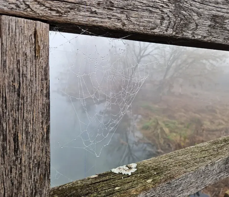 Magloviti Karlovac živnuo: Na ulicama šetači i dobra ekipa, pogledajte atmosferu