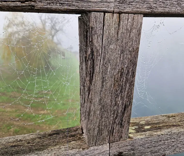 Magloviti Karlovac živnuo: Na ulicama &scaron;etači i dobra ekipa, pogledajte atmosferu