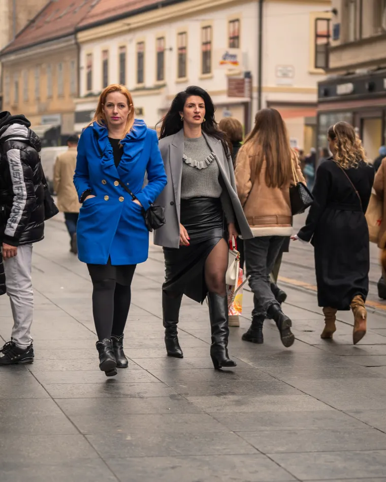 Zagrebačka špica