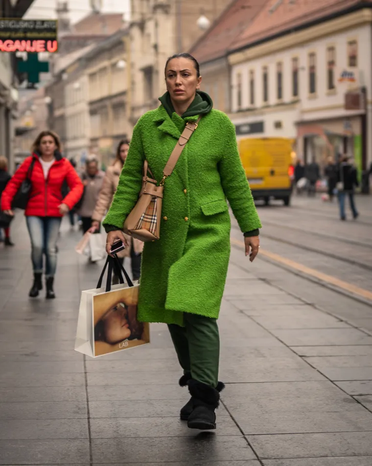 Zagrebačka špica
