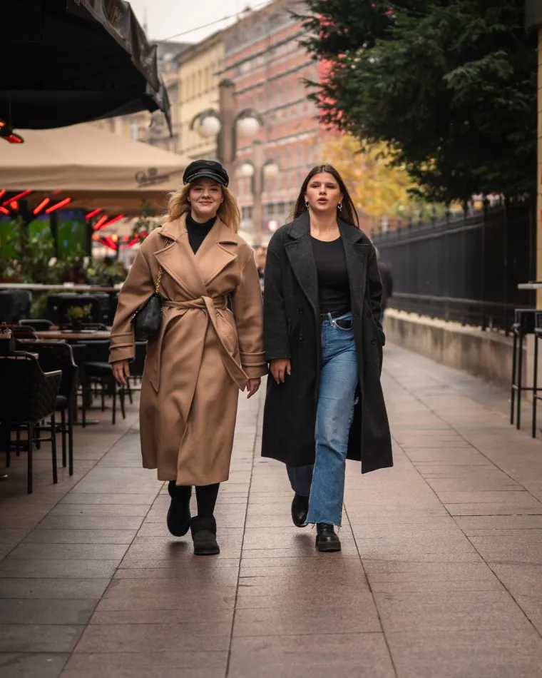 Zagrebačka &scaron;pica