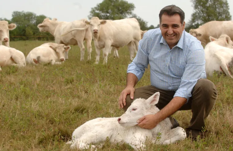 Nadan Vidošević htio je biti predsjednik 2008. godine. Gradio je imidž uspješnog poduzetnika, bio svojedobno neprikosnoveni čelnik Hrvatske gospodarske komore, u javnosti tada zacementirao dojam &apos;onog koji zna gospodarstvo&apos; i koji zna zaraditi (i zaraditi). 