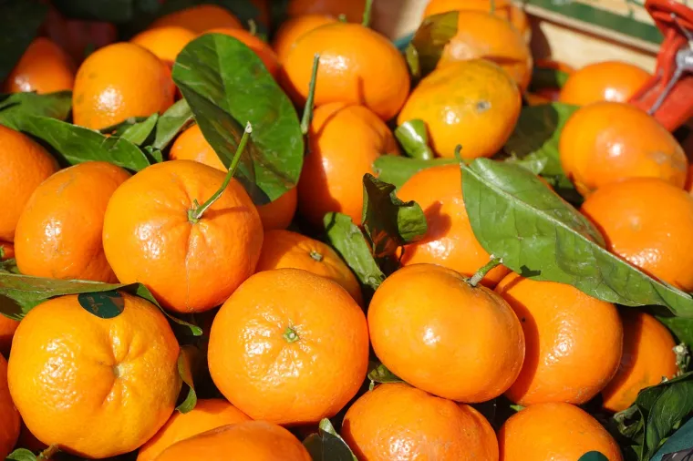 5. Klementine: Bogate su vitaminom C, a jedan plod klementine, težak oko 74 grama sadrži samo 35 kalorija.