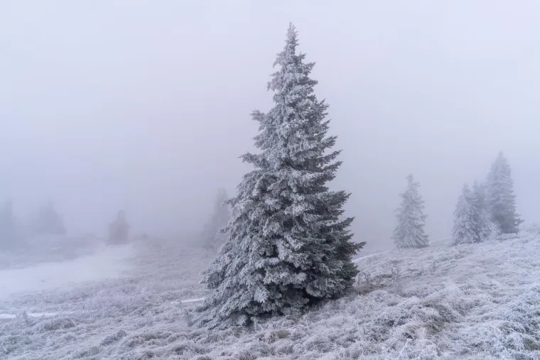 Snijeg pao u Hrvatskoj: Pogledajte prve fotografije snježne idile