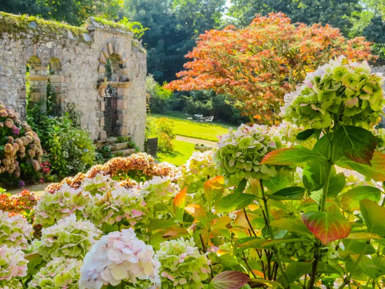 11. Velika Britanija - Otok Sark, dio Bailiwicka Guernseyja u Ujedinjenom Kraljevstvu, nudi program pod nazivom Sark Society, koji osigurava financiranje ljudima koji se žele preseliti na otok. Program preseljenja nudi do 18.900 eura financiranja i jednogodi&scaron;nju vizu.