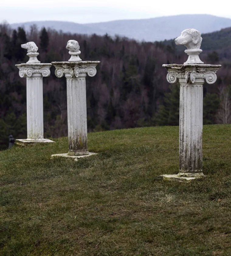 U obnovljenoj seoskoj kući smještena je galerija Stephen Huneck, gdje posjetitelji mogu razgledati i kupiti originalne drvoreze, namještaj, umjetničke grafike i suvenire s motivima pasa. Posebno su popularne knjige iz serije o crnom labradorcu Sallyju, koje su postale bestselleri New York Timesa.