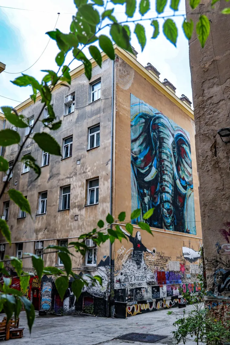 Je li to Pula postala grad s najljepšim muralima i grafitima u Hrvatskoj? Ovi su radovi divota za oči
