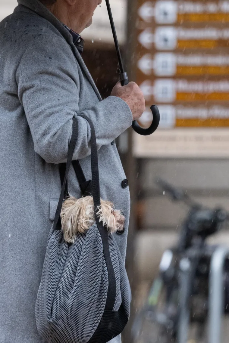 Snijeg na Sljemenu, ki&scaron;a u metropoli! Jugo valja valove na obali, a uz zahladnjenje moguće i nove pahulje