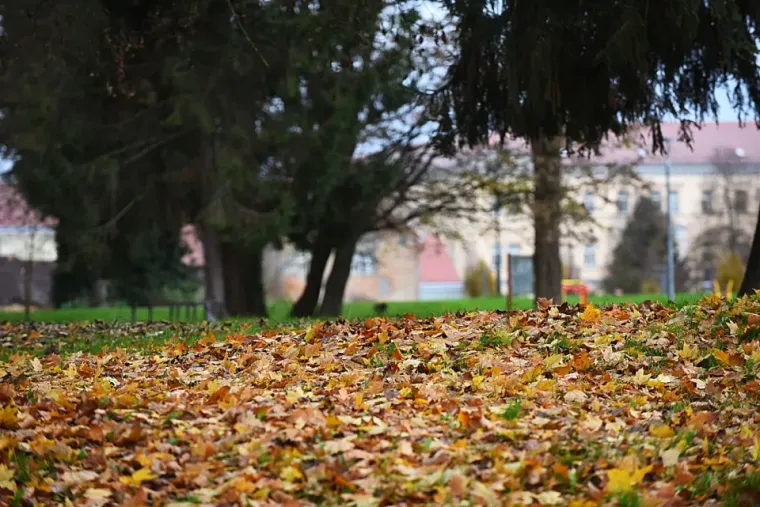 Kiša i magla ne mogu im ništa: Oni ne mare za loše vrijeme, zaraznom energijom okupirali grad