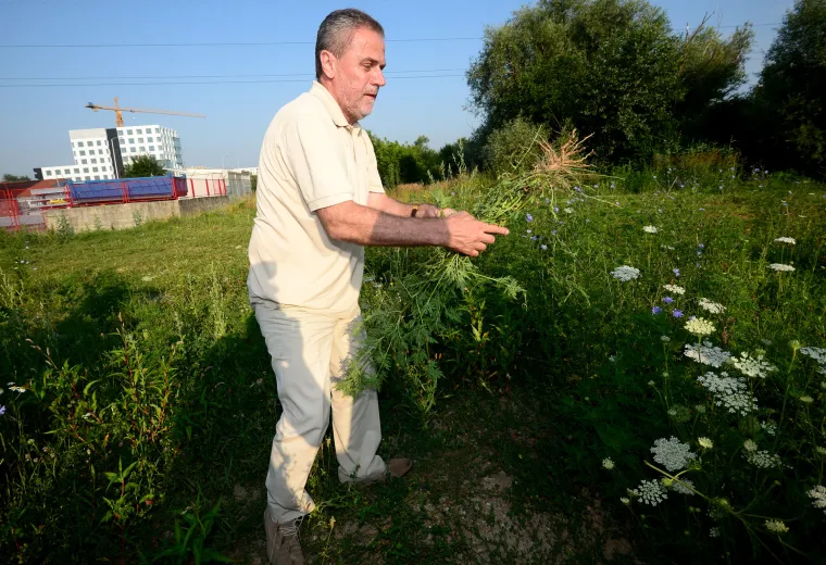 Na dana&scaron;nji dan rođen je Milan Bandić: Prisjetite se kako je kopao kanale, kuhao, trčao s Rudijem