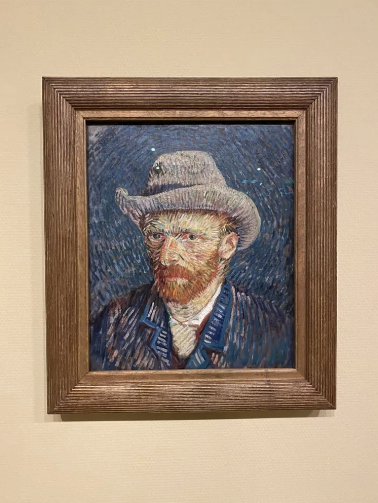 Mnogi moderni psihijatri i liječnici godinama su nakon van Goghove smrti postavljali razne dijagnoze. Većina njih slaže se da je umjetnik patio od bipolarnog poremećaja, a drugi, pak, sugeriraju anksiozne poremećaje i shizofreniju kao druge vjerojatne bolesti.