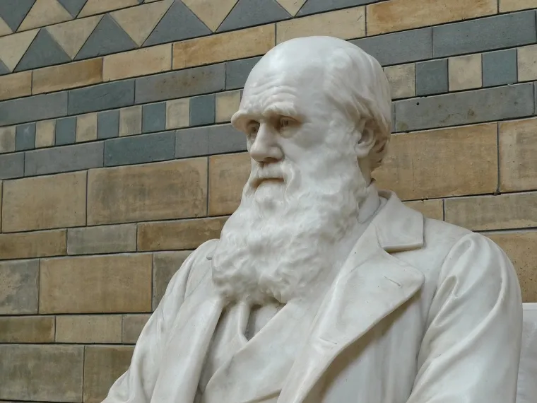 7. Charles Darwin - "Otac evolucije" je bio poznat po tome &scaron;to je tijekom života patio od mnogih fizičkih bolesti, uključujući kronične bolove u trbuhu i palpitacije. Također je pokazivao brojne simptome te&scaron;kog anksioznog poremećaja i vrlo vjerojatno imao česte napadaje panike.