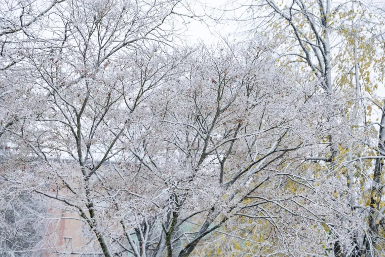 Nekima stvara probleme i kaos, drugima radost! Snijeg uoči adventa zabijelio veći dio zemlje