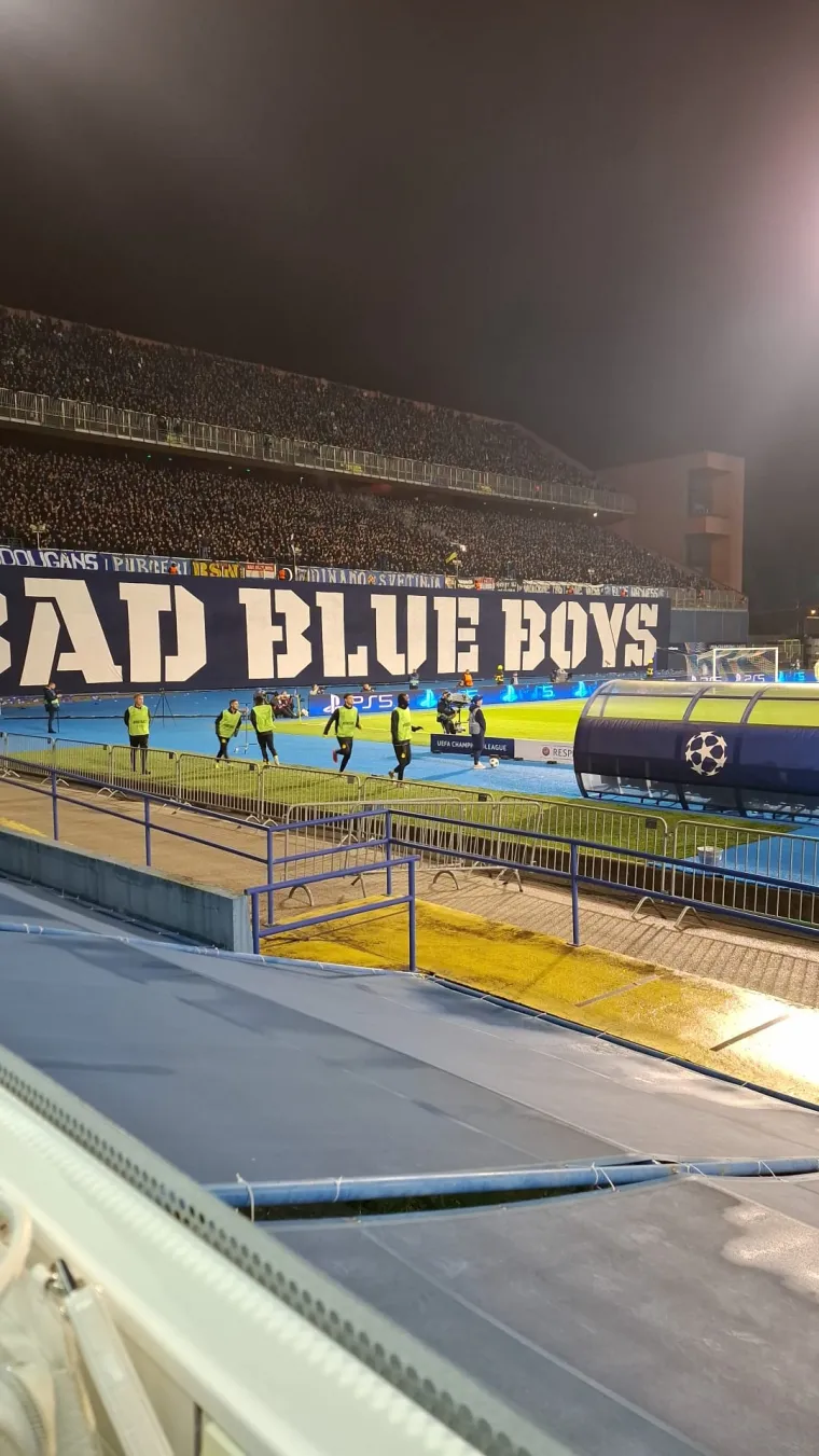 Nime u kutu slike Krik napisano je "samo je luđak ovo mogao naslikati", a vjerovalo se da je to čin vandalizma.