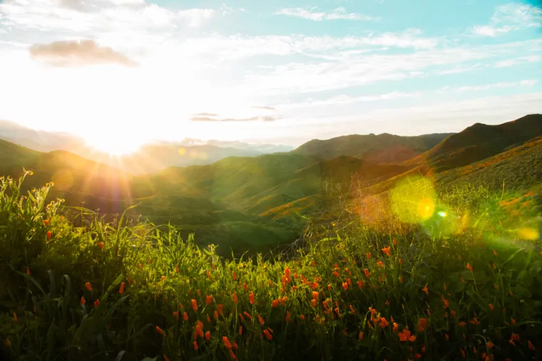 18. Život: Istina je da svemir pruža samo kratki trenutak u kojem život može napredovati. Trenutno živimo u vremenskom razdoblju koje nam omogućava postojanje u sigurnosti, za&scaron;tićeni od začetka i smrti svemira.