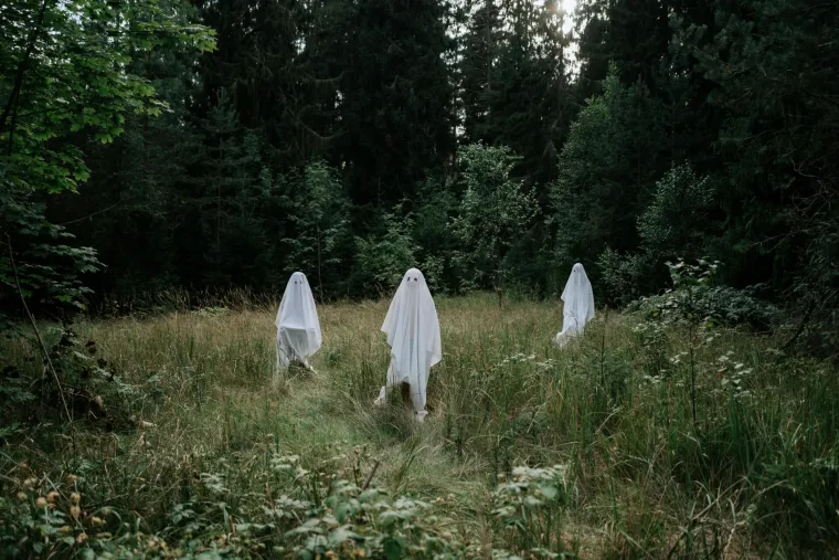 13. Paranormalna teorija: Ovaj koncept obično čini temelj mnogih horor filmova. Zagovornici nadnaravnog tvrde da naše duše ostaju na Zemlji nakon smrti. Tvrde da se komunikacija s duhovima može postići različitim metodama.