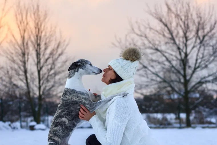 Psi koji nisu prirodno otporni na hladnoću zahtijevaju dodatnu pažnju i za&scaron;titu tijekom zimskih mjeseci. Ulaganje u kvalitetnu odjeću za pse, poput kaputa i čizama, može im pomoći u održavanju optimalne tjelesne temperature. Svi vlasnici ovih pasmina trebaju biti svjesni da, iako ljubimci možda neće pokazivati znakove nelagode, dugotrajna izloženost hladnoći može imati ozbiljne posljedice po njihovo zdravlje.