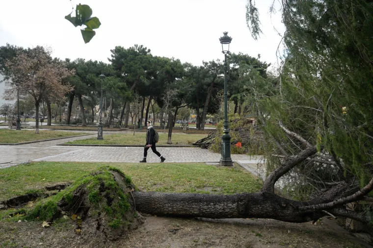 Regionalni guverner južnog Egeja, Giorgos Hatzimarkos, rekao je da je Rhodos pretrpio &apos;ogromnu štetu&apos;.