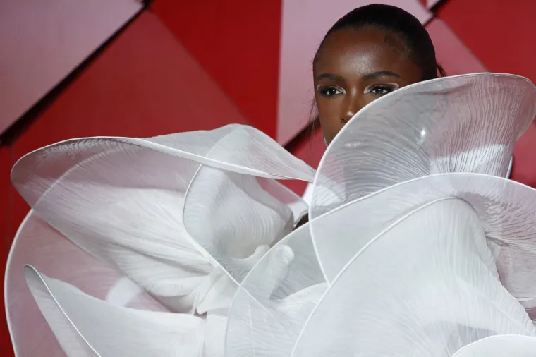 Michele Lamy &scaron;okirala modnom kreacijom na dodjeli nagrada: Podsjeća li vas na &scaron;i&scaron;mi&scaron;a?