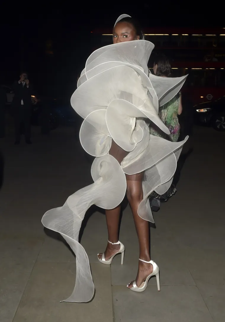 Michele Lamy &scaron;okirala modnom kreacijom na dodjeli nagrada: Podsjeća li vas na &scaron;i&scaron;mi&scaron;a?