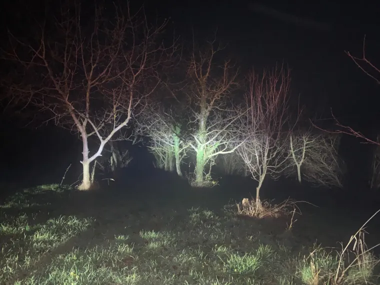 Ovo je obiteljska kuća roditelja koji su zakopali svoje dvije bebe: Prizori izgledaju jezivo