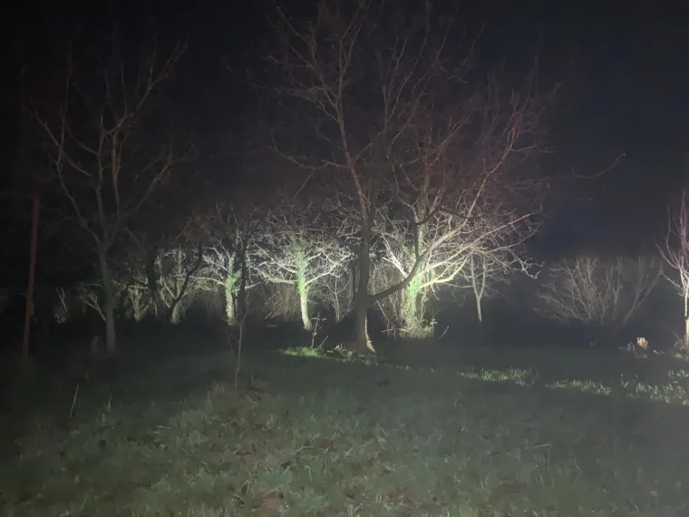 Ovo je obiteljska kuća roditelja koji su zakopali svoje dvije bebe: Prizori izgledaju jezivo