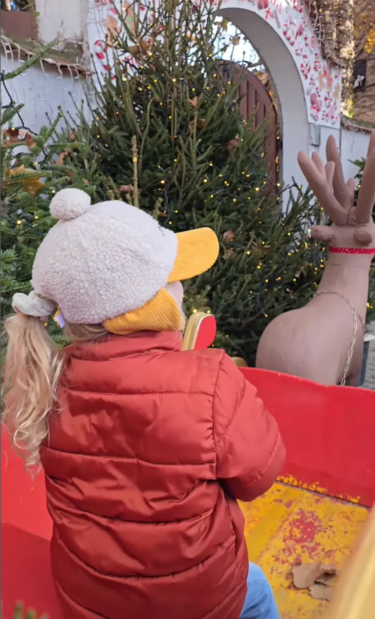 U Zadru mali medo svijetli jače od policijskih sirena, a Varaždinci imaju vlastiti Sjeverni pol