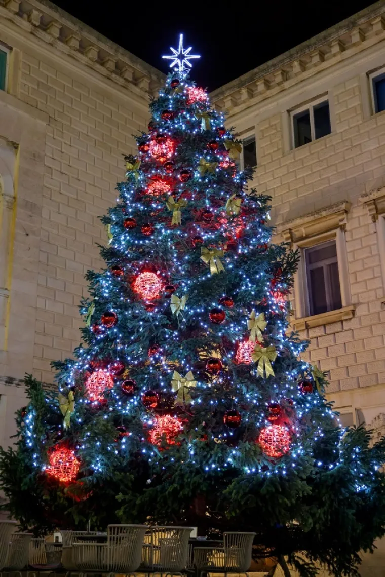 U Zadru mali medo svijetli jače od policijskih sirena, a Varaždinci imaju vlastiti Sjeverni pol