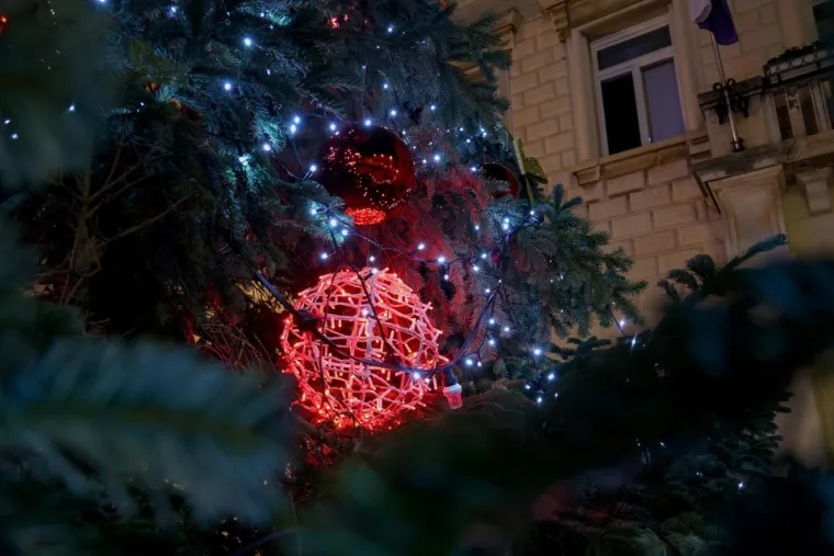 U Zadru mali medo svijetli jače od policijskih sirena, a Varaždinci imaju vlastiti Sjeverni pol