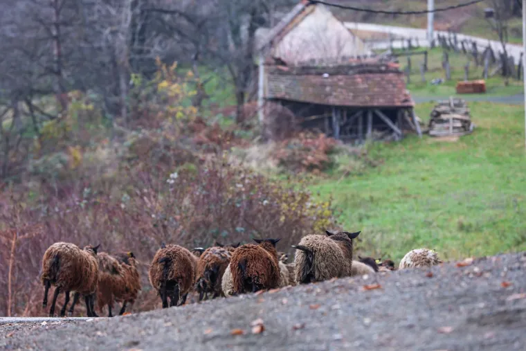 Mjesto strave u kojem su pronađena tijela beba: Ovo je Ljubelj Kalnički dan nakon &scaron;okantnog otkrića