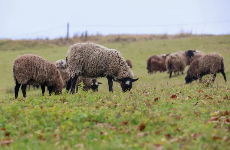 Mjesto strave u kojem su pronađena tijela beba: Ovo je Ljubelj Kalnički dan nakon &scaron;okantnog otkrića