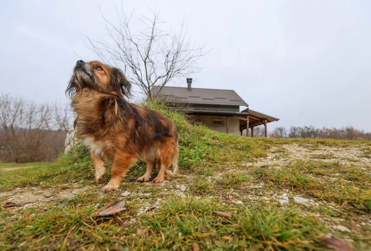 Mjesto strave u kojem su pronađena tijela beba: Ovo je Ljubelj Kalnički dan nakon &scaron;okantnog otkrića