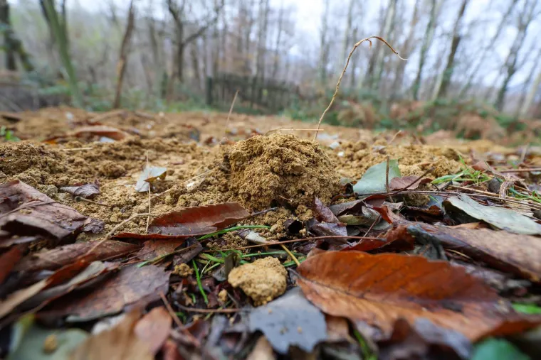 Mjesto strave u kojem su pronađena tijela beba: Ovo je Ljubelj Kalnički dan nakon &scaron;okantnog otkrića