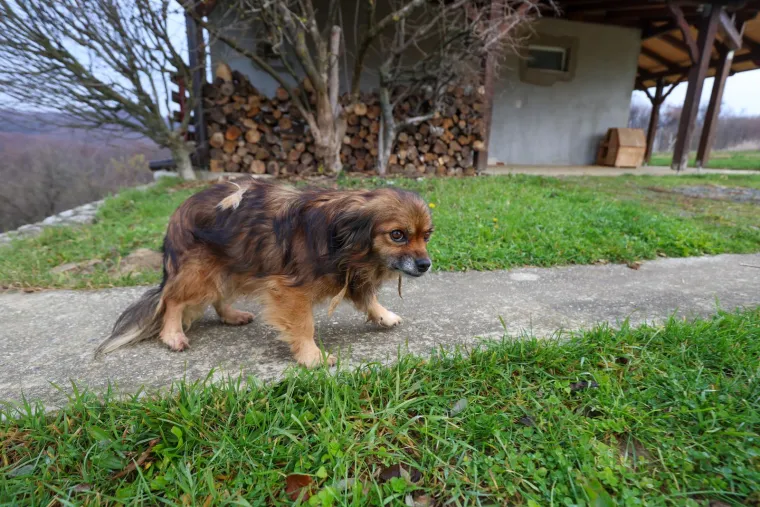 Mjesto strave u kojem su pronađena tijela beba: Ovo je Ljubelj Kalnički dan nakon &scaron;okantnog otkrića