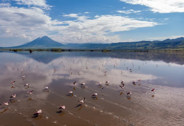 8. Jezero Natron, Tanzanija: Ovo jezero u istočnoj Africi izgleda kao da je doista na Marsu. Voda je puna minerala, a visoka stopa isparavanja znači da je izrazito alkalna. Napajaju ga prirodni topli izvori, &scaron;to znači da može doseći temperaturu do 60 &deg;C.
