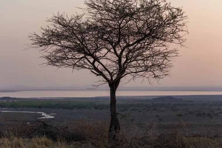 Za ljude i životinje koji nisu evoluirali za tako negostoljubive uvjete voda može izazvati opekotine. Osim toga prirodne kemikalije u jezeru također mogu mumificirati ostatke životinja koje premine na jezeru, ostavljajući za sobom jezive okamenjene fosile.