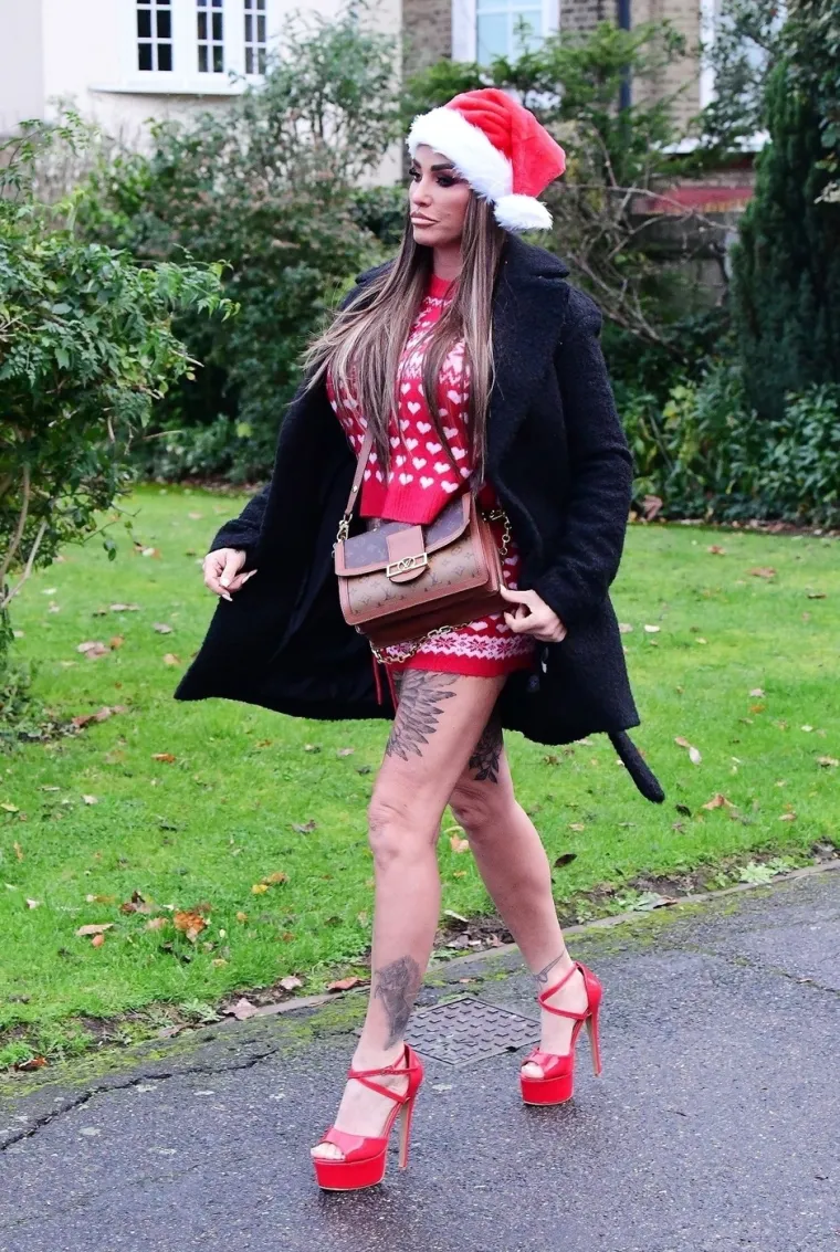 Model Katie Price