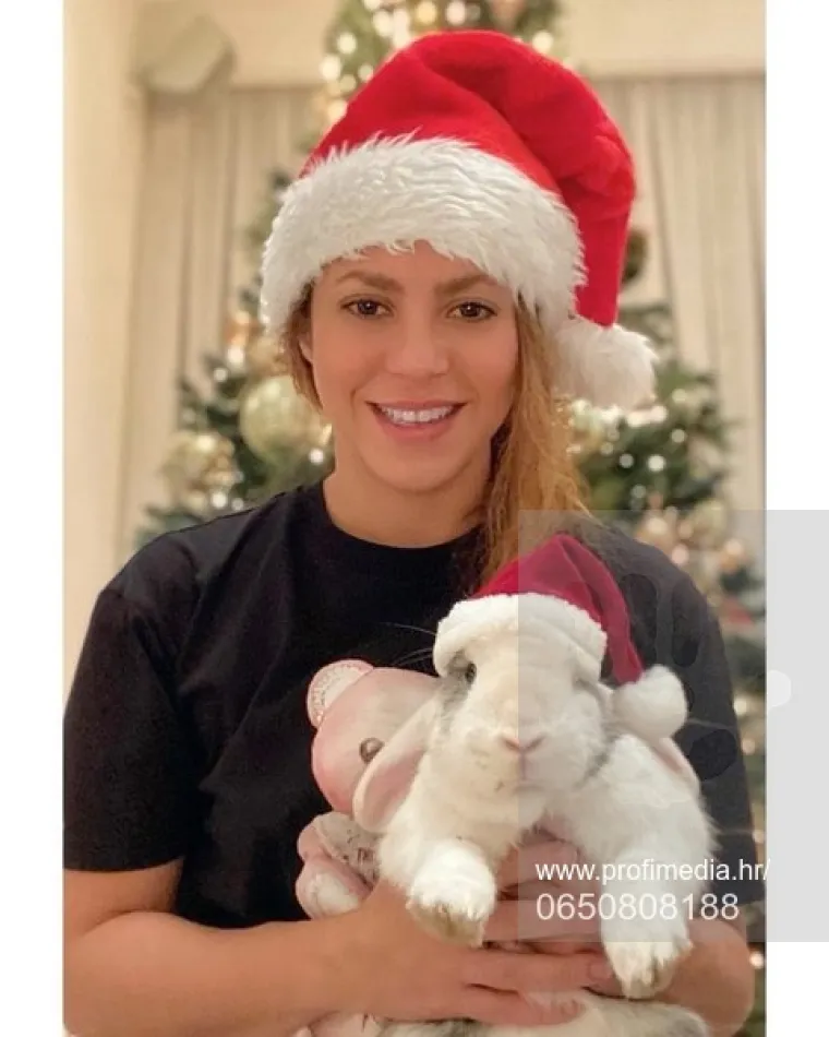 Pjevačica Shakira
