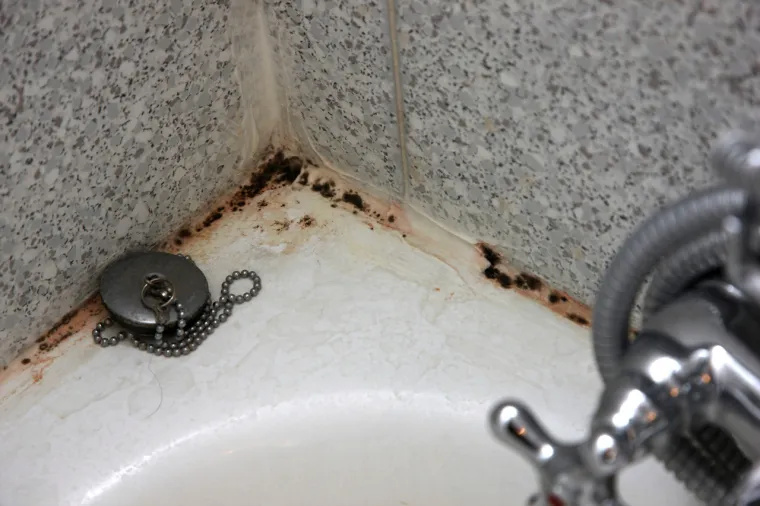 Nedavno istraživanje pokazalo je da je kupaonica najčešće mjesto na kojem se pojavljuje plijesan, a 33 posto ljudi je primijetilo plijesan upravo tamo.