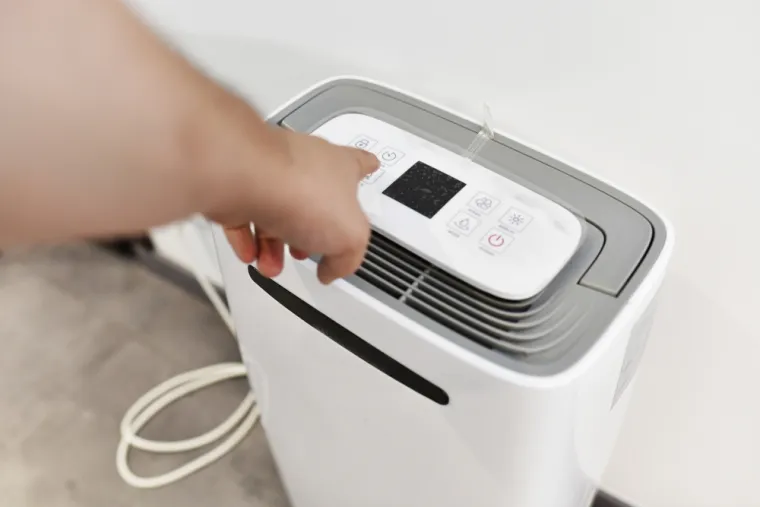 Uz to, dodao je da su dehumidifikatori također važni u vašem domu ako želite ukloniti plijesan.