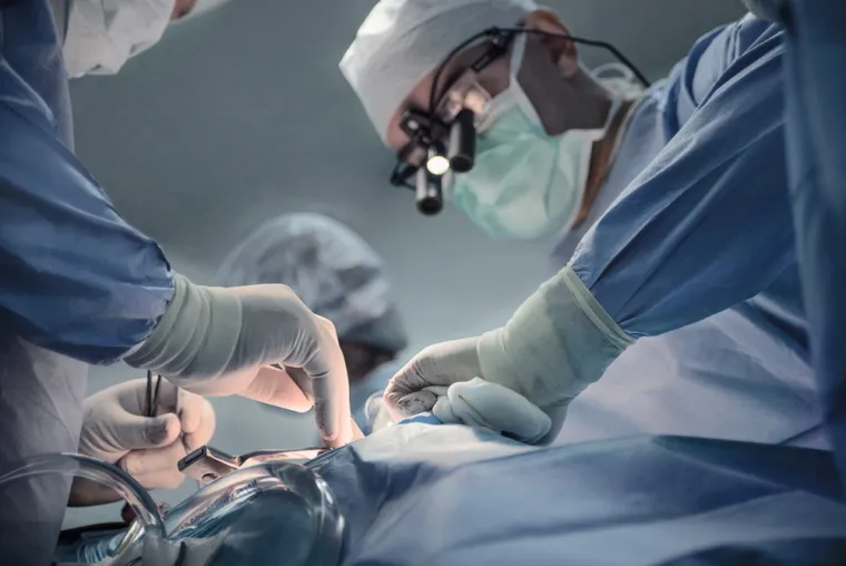 11. Neki dijelovi tijela preživjet će duže: Dok neki dijelovi tijela brzo umiru, drugi mogu živjeti satima nakon što umrete. Vaše oči, srce, kosti i koža mogu biti još uvijek pogodni za transplantaciju do 15 sati nakon smrti, tvrdi liječnica.