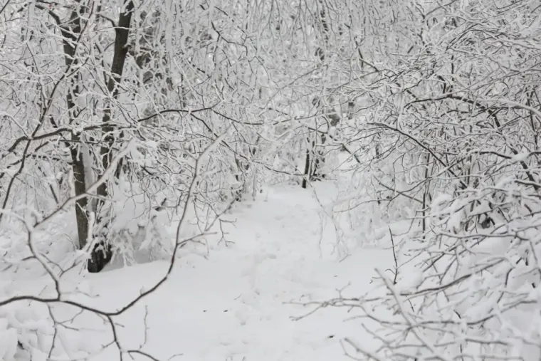 Prema narodnoj predaji vrh Klek je sijelo vještica, koje su svojevrstan simbol Kleka i grada Ogulina.