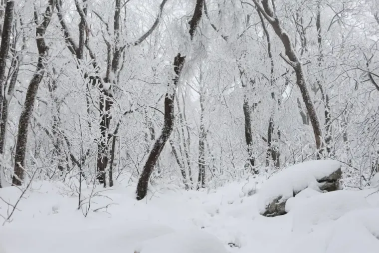 Zbog iznimne krajobrazne i biološke vrijednosti područje površine oko 850 ha zaštićeno je 1971. godine kao značajni krajobraz, a dio je pod zaštitom kao geomorfološki i botanički rezervat.