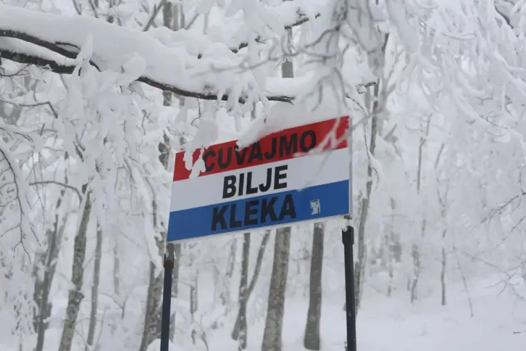 Najznačajniji su vrhovi Klečice ili Mali Klek (1058 m) te Veliki Klek, visok 1182 m. Glavni vrh Kleka je kamena glavica promjera desetak metara, povrh stjenovitih okomica. Budući da pri vrhovima nema &scaron;ume, oni omogućavaju lijepe vidike prema Bjelolasici, Risnjaku, Ogulinu i jezeru Sabljaci, a za bistrih dana znatiželjni će pogled odlutati sve do Julijskih i Kamni&scaron;kih Alpa u Sloveniji. 