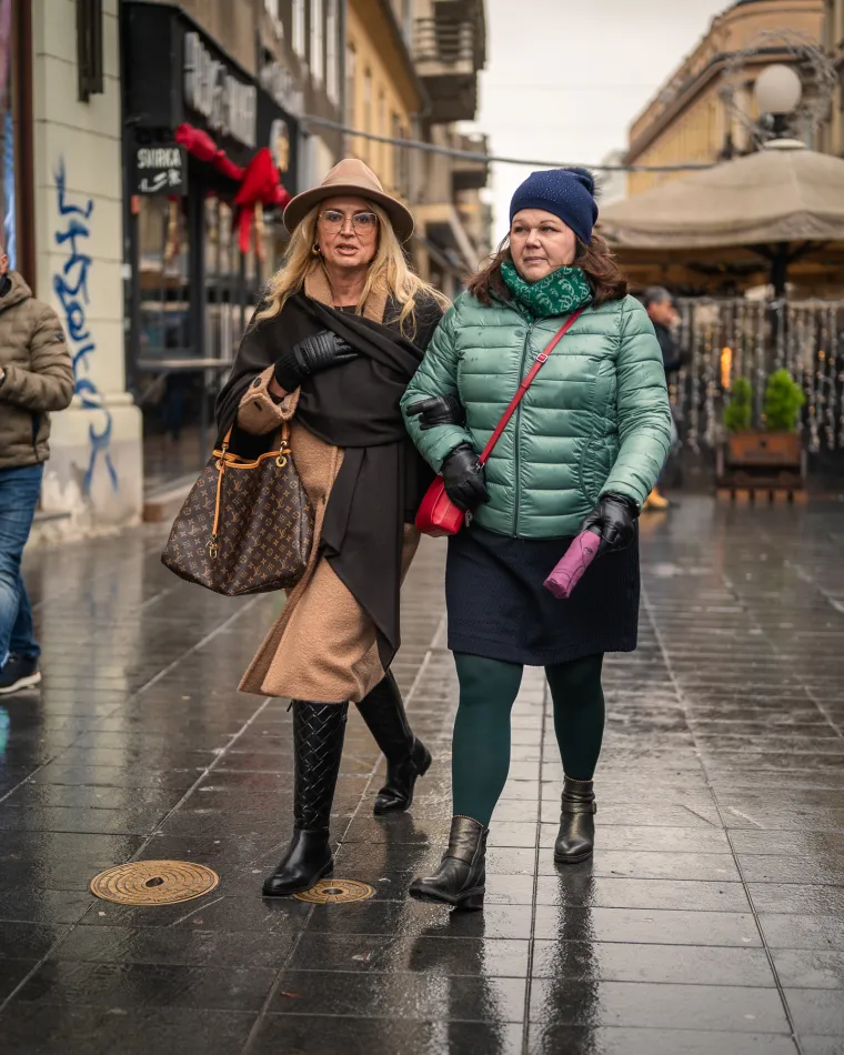 Zagrebačka špica