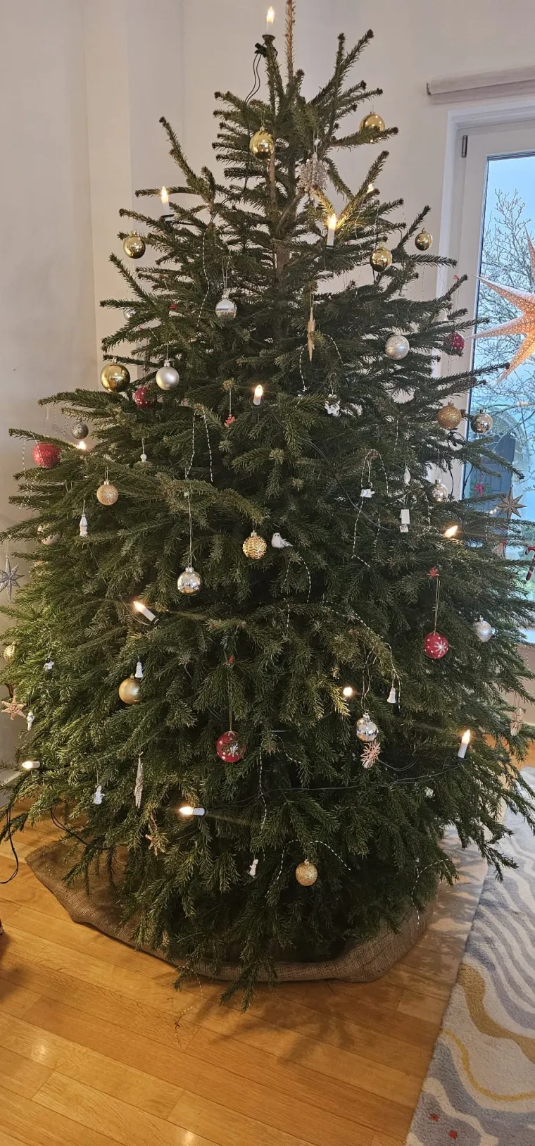 Veleposlanica svaki dan pješači pet kilometara od kuće do ambasade, što je otprilike 50tak minuta.