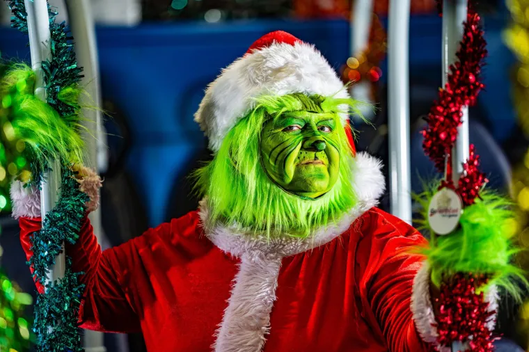 Ova vozačica svakodnevno unosi pravo božićno veselje u bizarnim kostimima: Putnici su &scaron;okirani